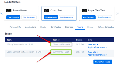 Team ID Help Guide-1